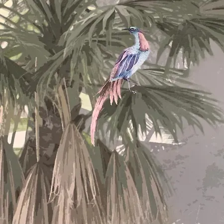 Daire In St Raph Saint-Raphaël